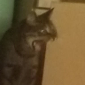 Meet your Posher, Kaley